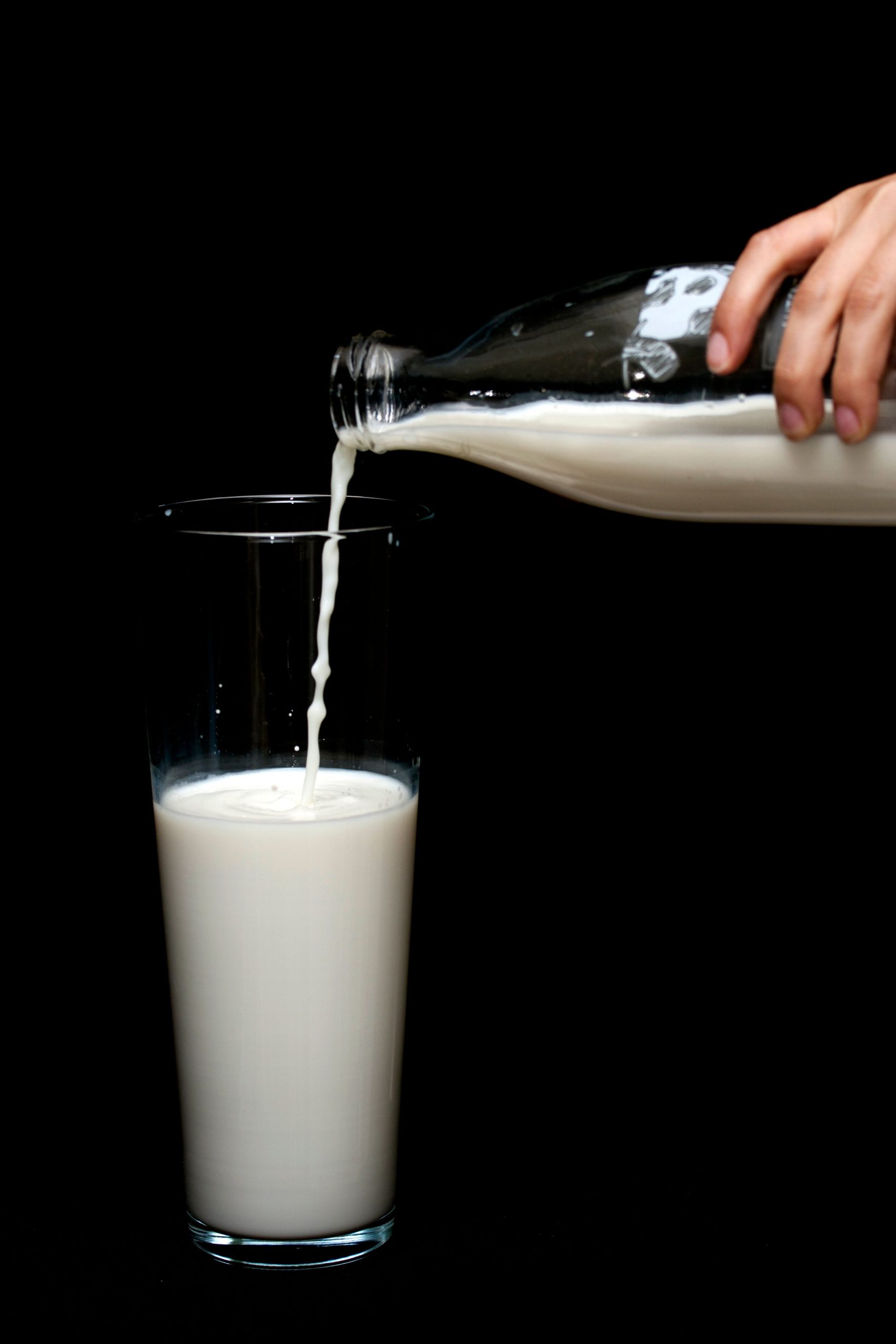 Avantages du lait de brebis