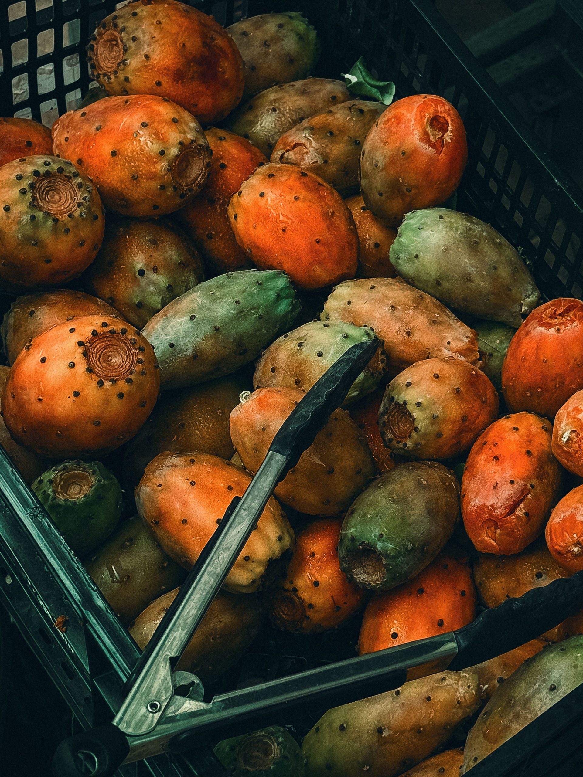 Colorful prickly pears in a crate at a Spanish market, ready for sale. Rich textures and natural hues. Des figues de Barbarie colorées dans une caisse à un marché espagnol, prêtes à être vendues. Textures riches et teintes naturelles.