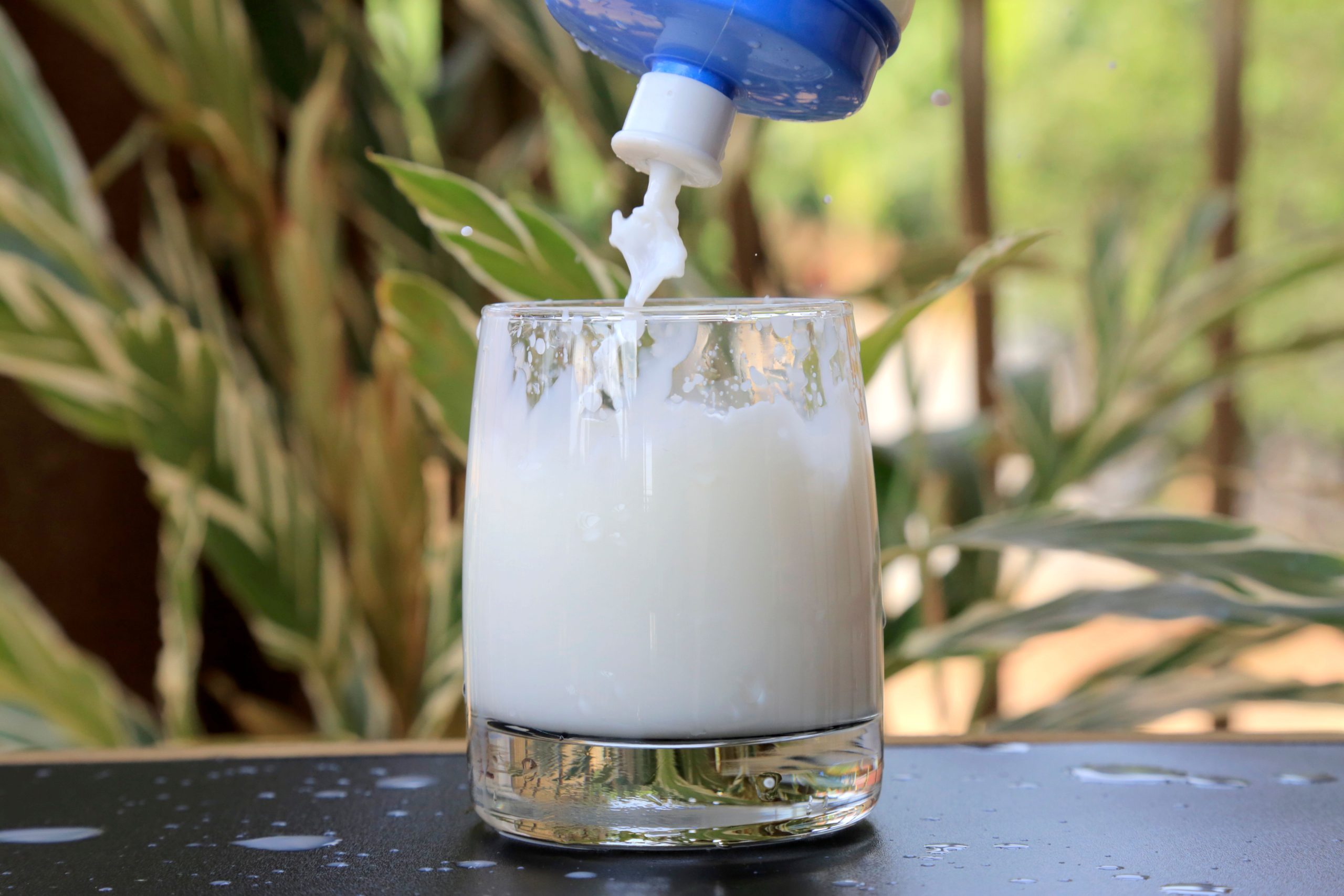 A refreshing white liquid pouring into a glass outdoors with green leaves in the background. Un liquide blanc rafraîchissant versé dans un verre à l'extérieur avec des feuilles vertes en arrière-plan.
