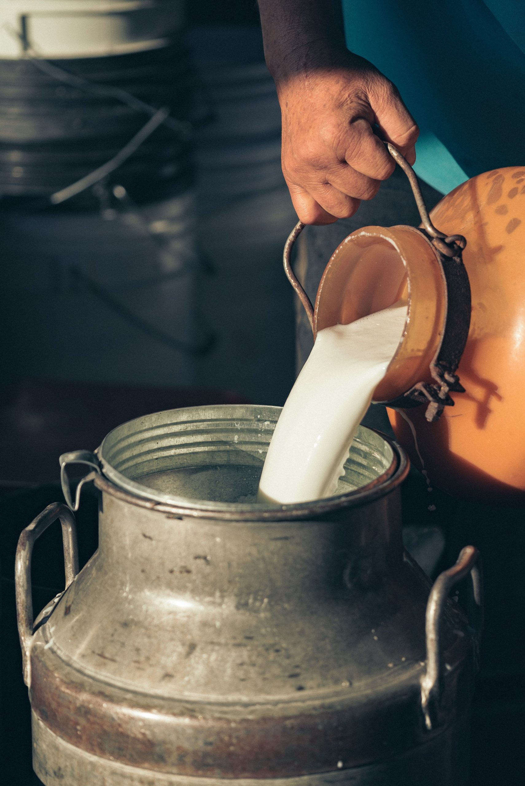 Bienfaits réels du lait de brebis