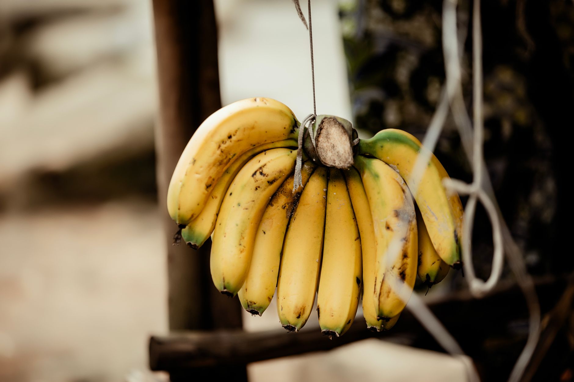 Bouquet de bananes suspendu en extérieur