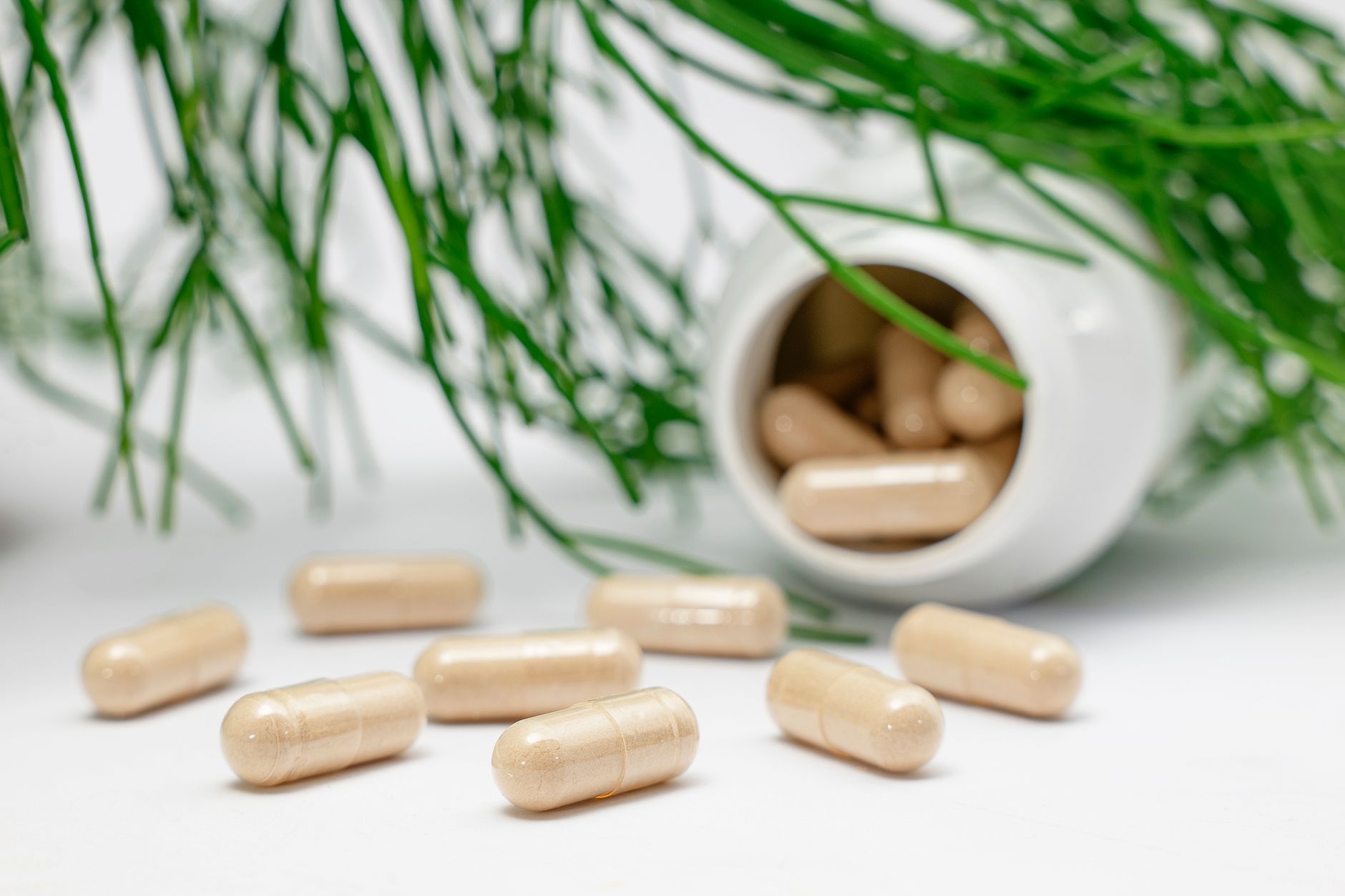 Gelules de complement alimentaire a base de plantes