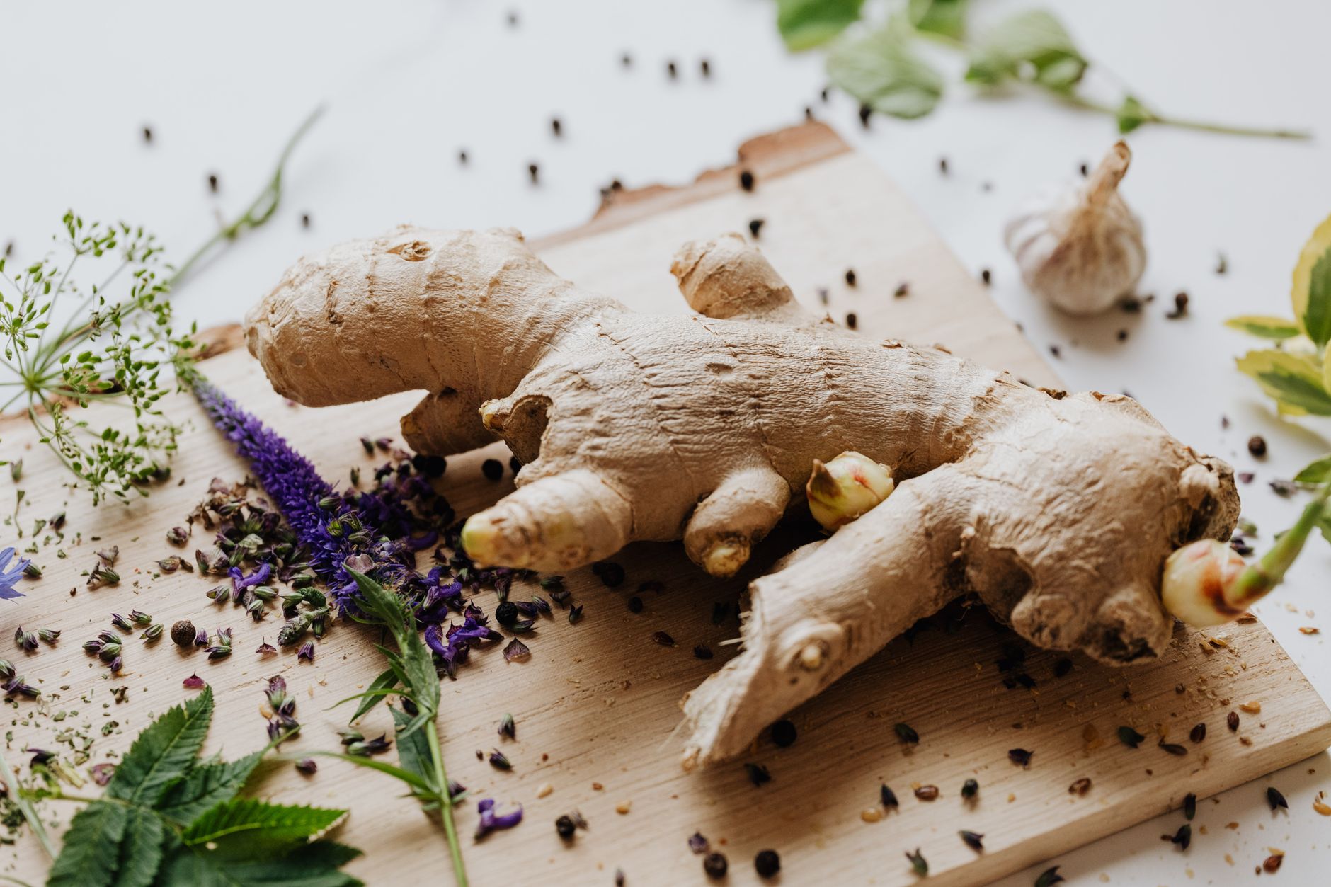 Racine de gingembre posée sur une planche avec des herbes