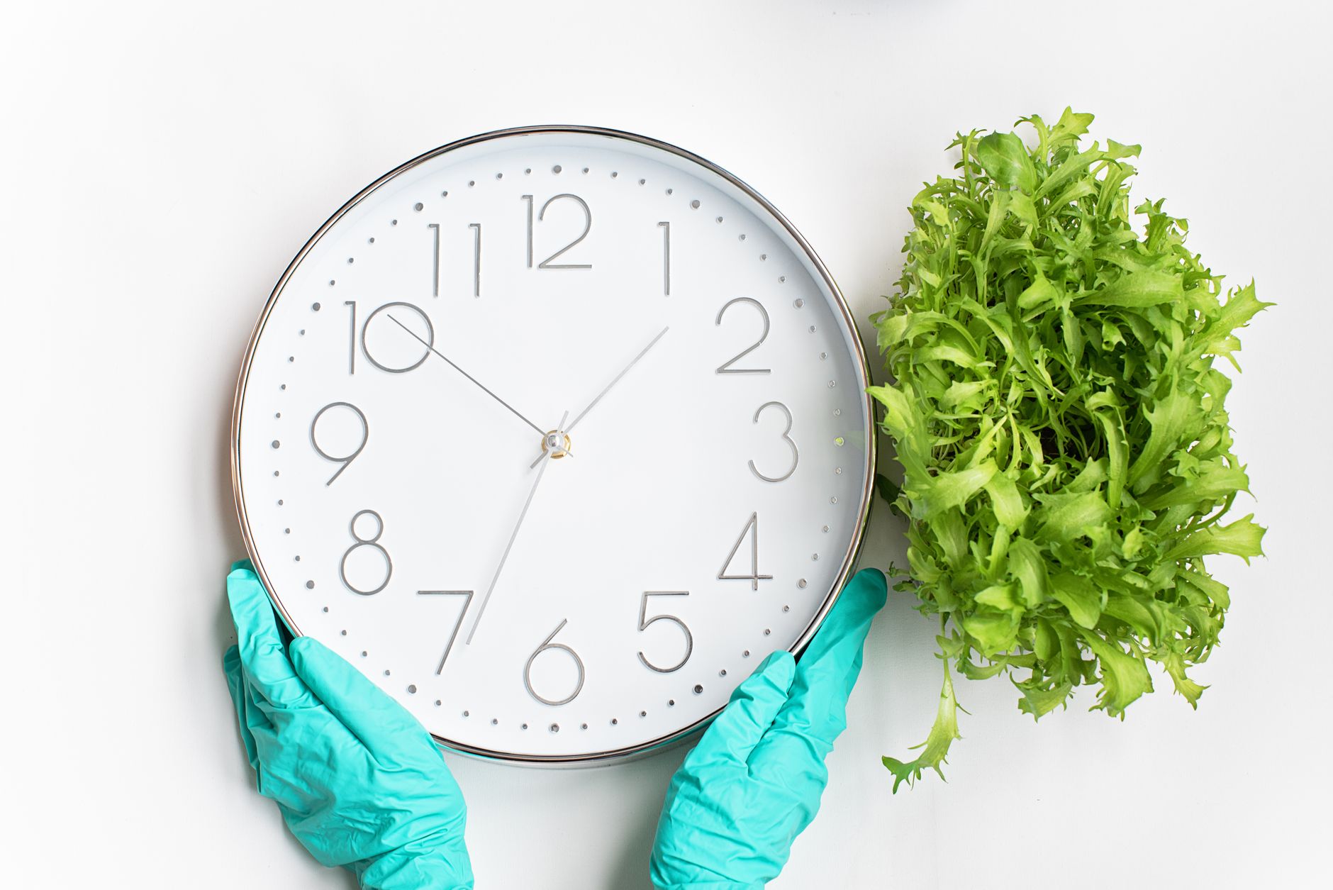 Horloge blanche associée à une plante verte