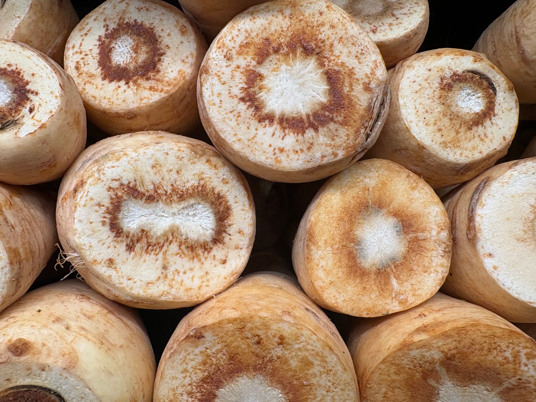 Gros plan sur des panais coupés
