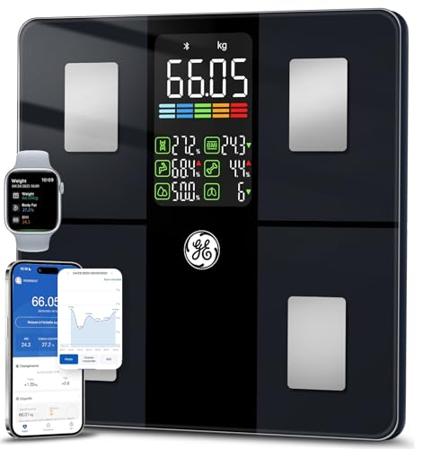 GE Balance impédancemètre CS20F, vue 1