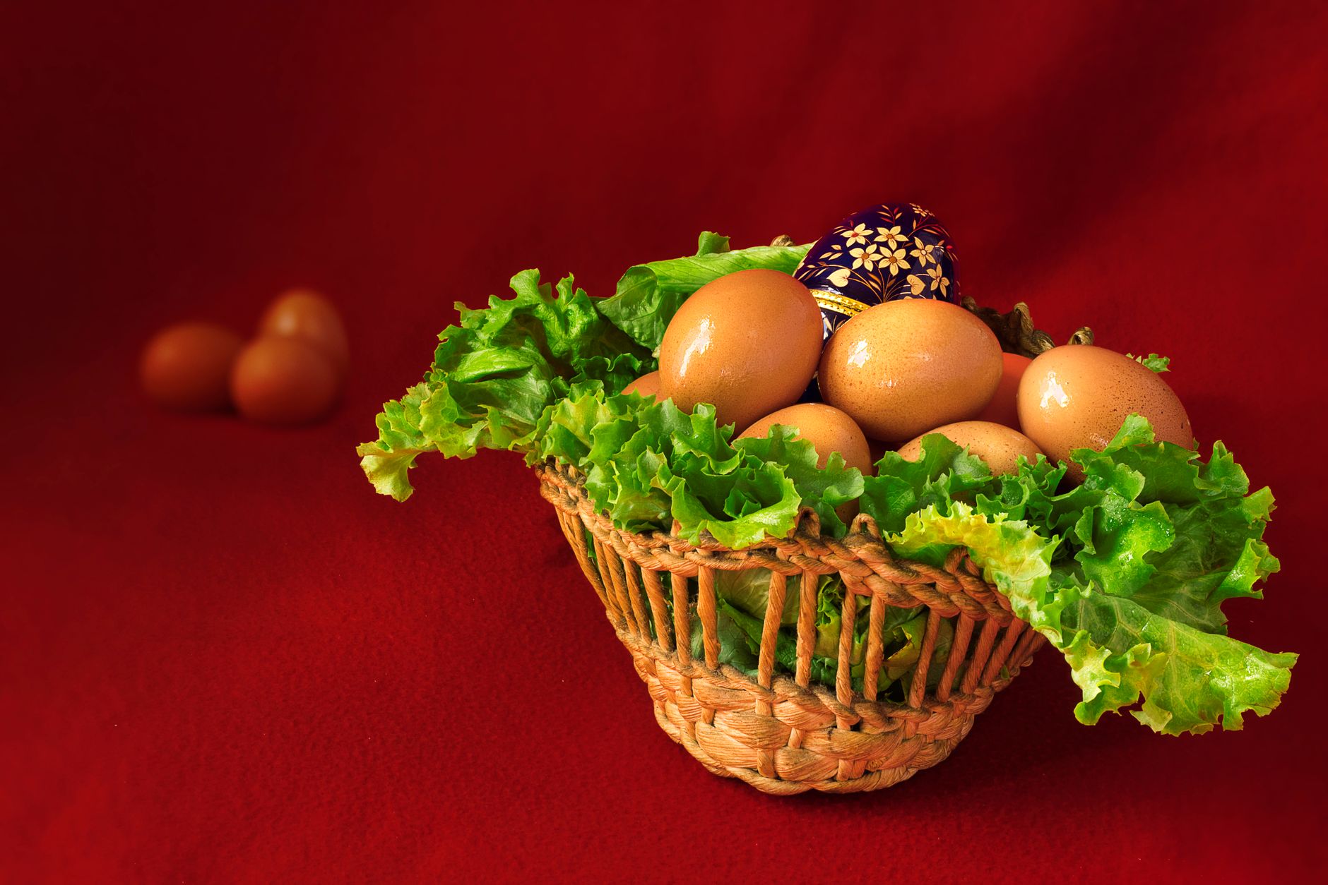 Kiwis et agrumes riches en vitamine C