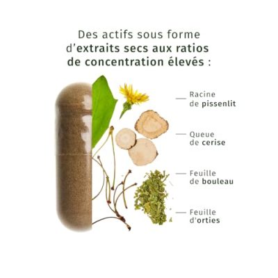 Valebio I Légèreté I, vue 2
