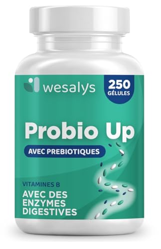 Wesalys Probiotique Probio Up, vue 1